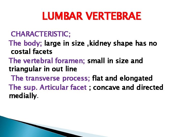 LUMBAR VERTEBRAE CHARACTERISTIC; The body; large in size , kidney shape has no costal