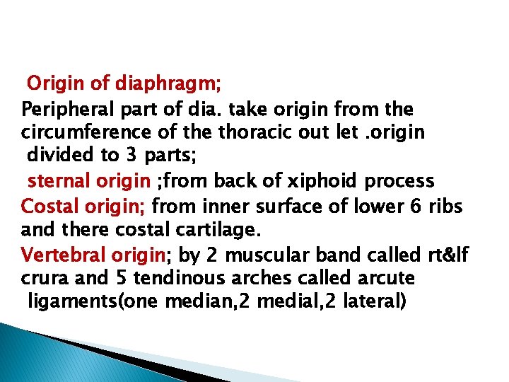 Origin of diaphragm; Peripheral part of dia. take origin from the circumference of the