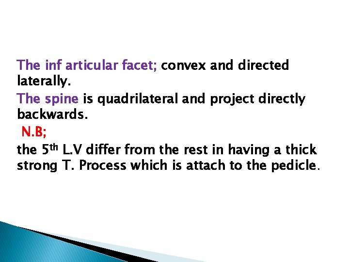 The inf articular facet; convex and directed laterally. The spine is quadrilateral and project