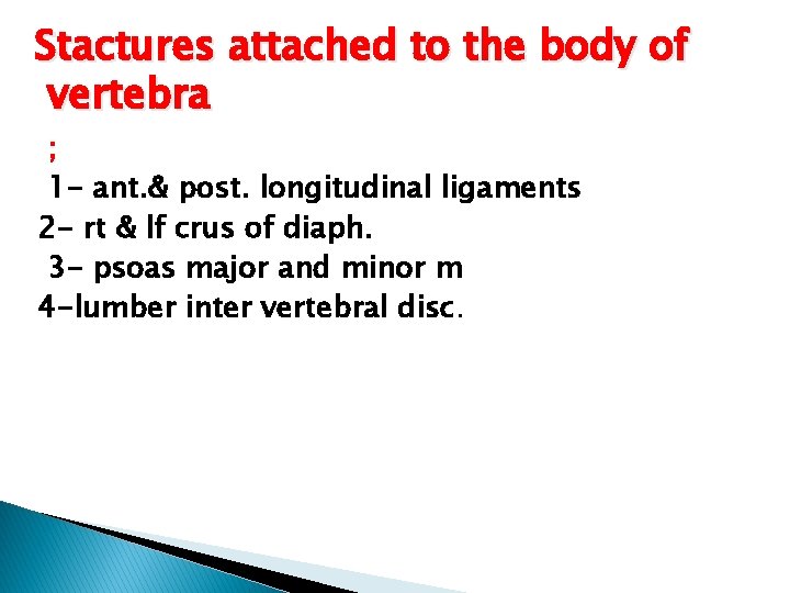 Stactures attached to the body of vertebra ; 1 - ant. & post. longitudinal