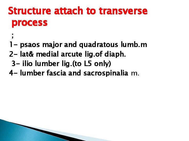 Structure attach to transverse process ; 1 - psaos major and quadratous lumb. m