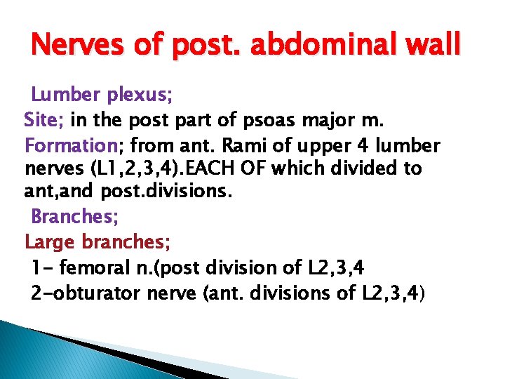 Nerves of post. abdominal wall Lumber plexus; Site; in the post part of psoas
