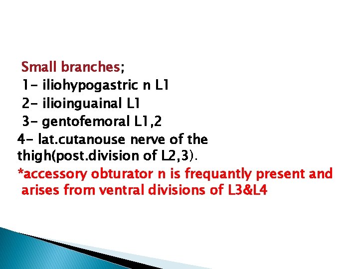 Small branches; 1 - iliohypogastric n L 1 2 - ilioinguainal L 1 3