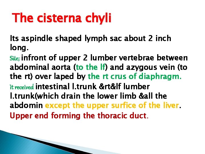 The cisterna chyli Its aspindle shaped lymph sac about 2 inch long. Site; infront