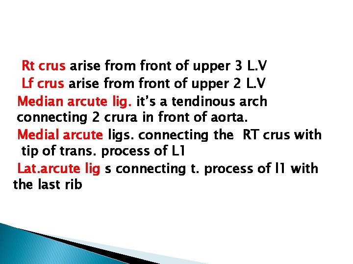 Rt crus arise from front of upper 3 L. V Lf crus arise from