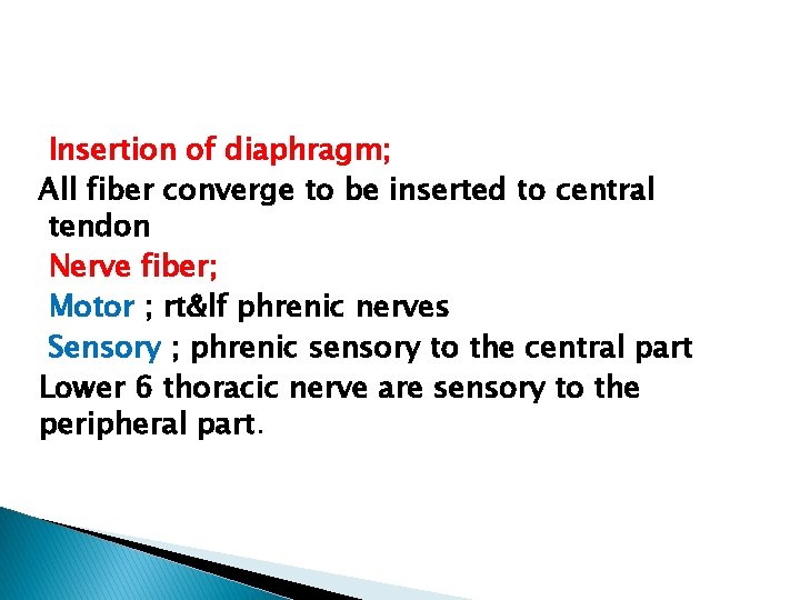 Insertion of diaphragm; All fiber converge to be inserted to central tendon Nerve fiber;