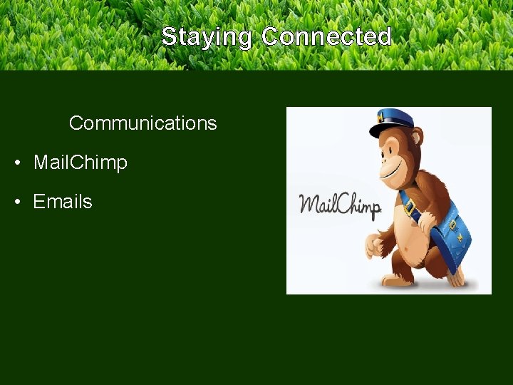 Staying Connected Communications • Mail. Chimp • Emails 