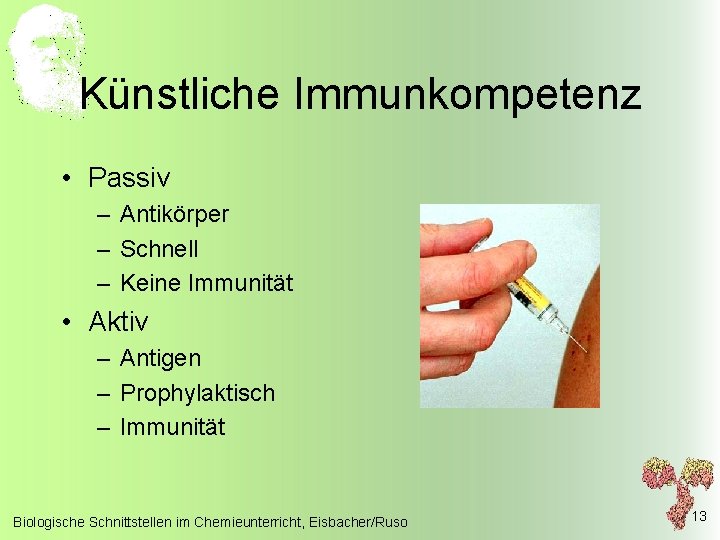 Künstliche Immunkompetenz • Passiv – Antikörper – Schnell – Keine Immunität • Aktiv –