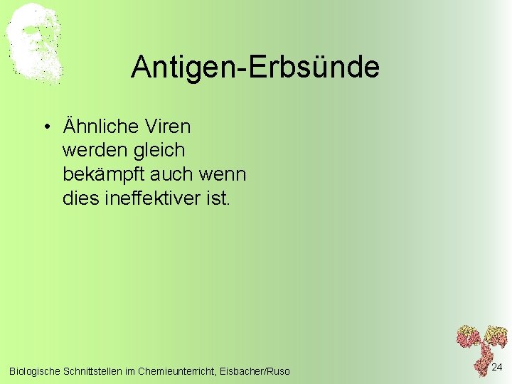 Antigen-Erbsünde • Ähnliche Viren werden gleich bekämpft auch wenn dies ineffektiver ist. Biologische Schnittstellen