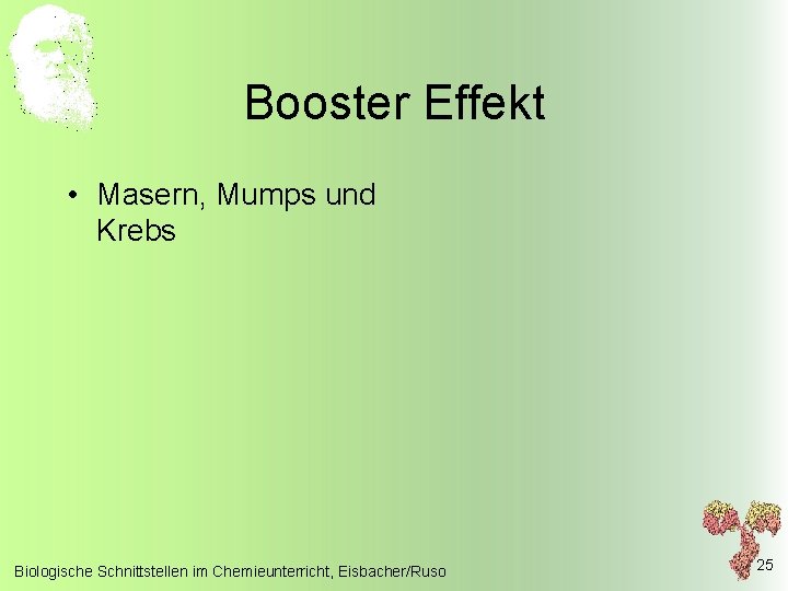 Booster Effekt • Masern, Mumps und Krebs Biologische Schnittstellen im Chemieunterricht, Eisbacher/Ruso 25 