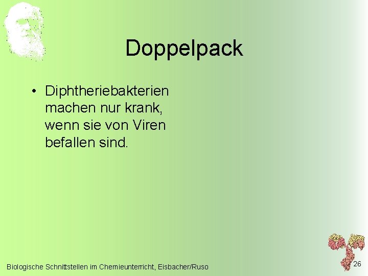 Doppelpack • Diphtheriebakterien machen nur krank, wenn sie von Viren befallen sind. Biologische Schnittstellen