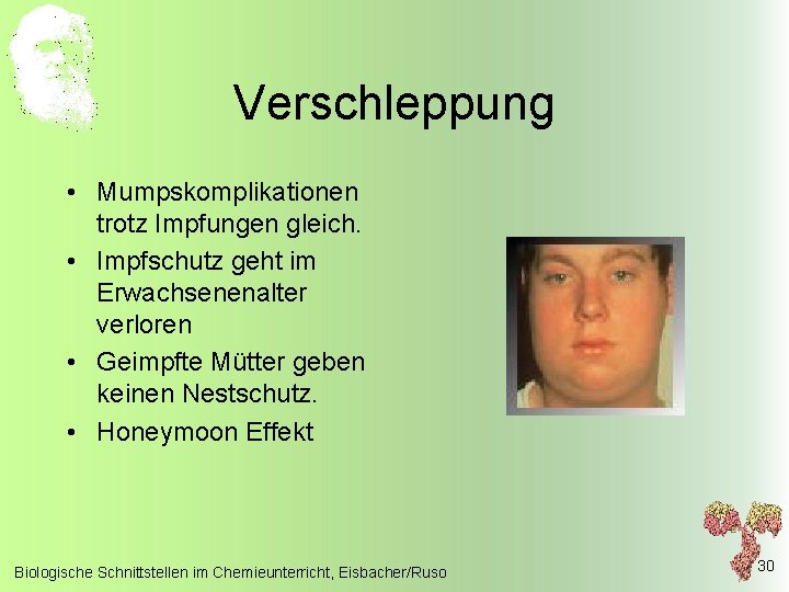 Verschleppung • Mumpskomplikationen trotz Impfungen gleich. • Impfschutz geht im Erwachsenenalter verloren • Geimpfte