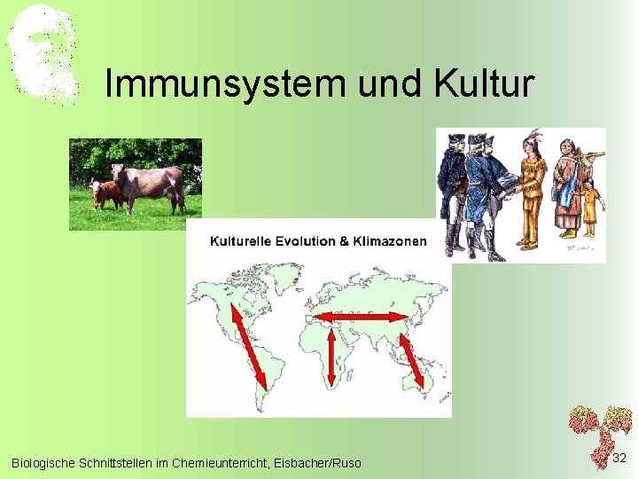 Immunsystem und Kultur Biologische Schnittstellen im Chemieunterricht, Eisbacher/Ruso 32 