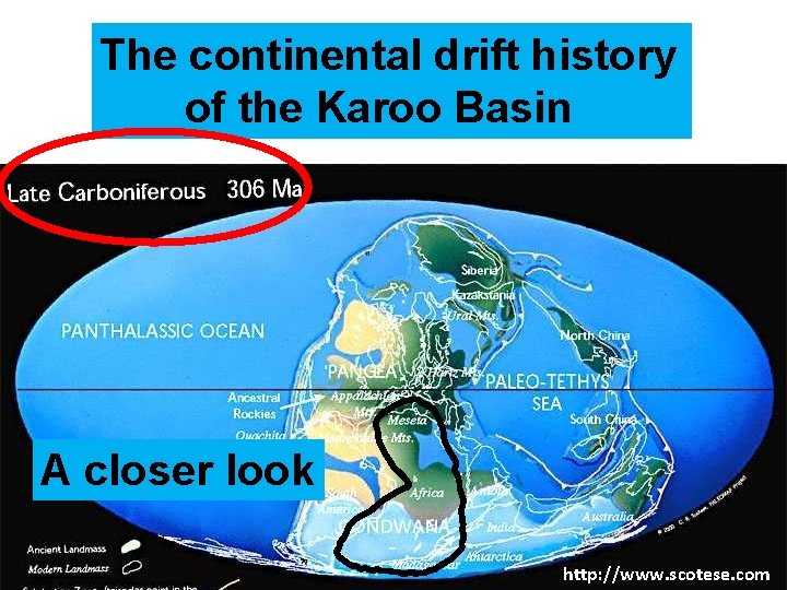 The continental drift history of the Karoo Basin A closer look http: //www. scotese.