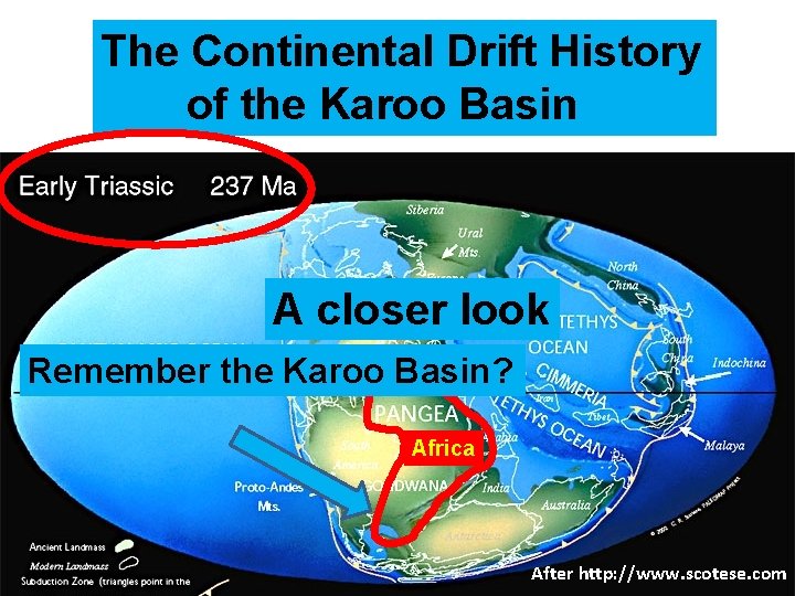The Continental Drift History of the Karoo Basin A closer look Remember the Karoo