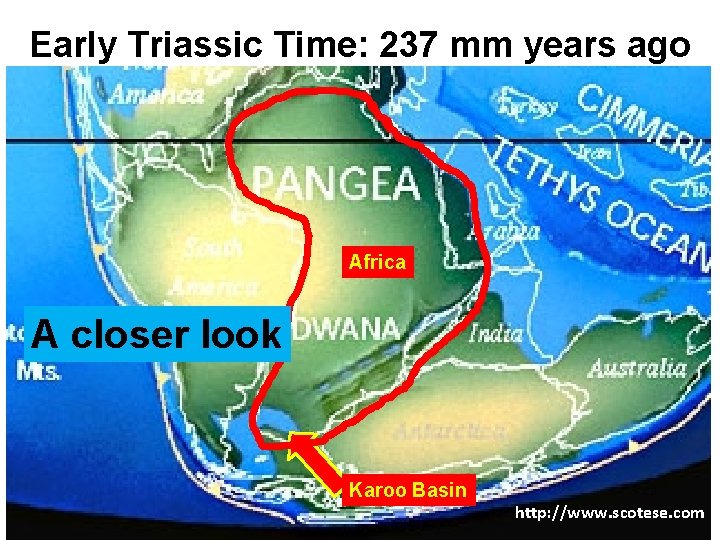 Early Triassic Time: 237 mm years ago Africa A closer look Karoo Basin http: