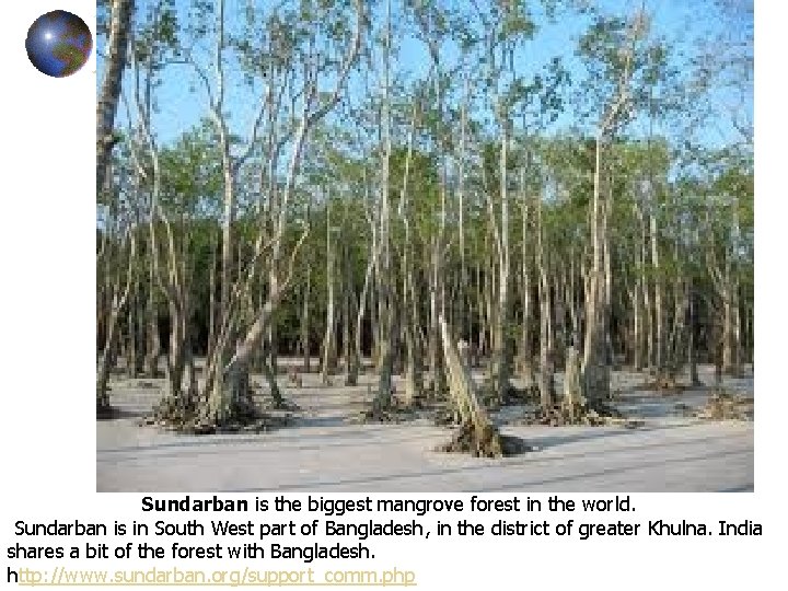 Sundarban is the biggest mangrove forest in the world. Sundarban is in South West