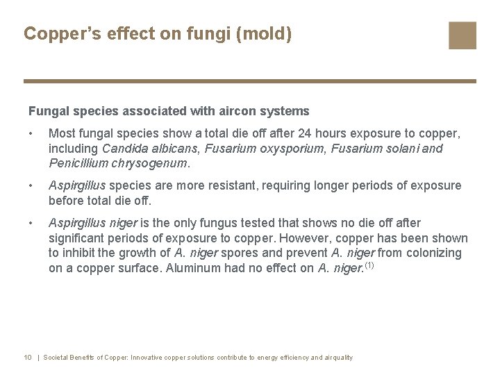 Copper’s effect on fungi (mold) Fungal species associated with aircon systems • Most fungal