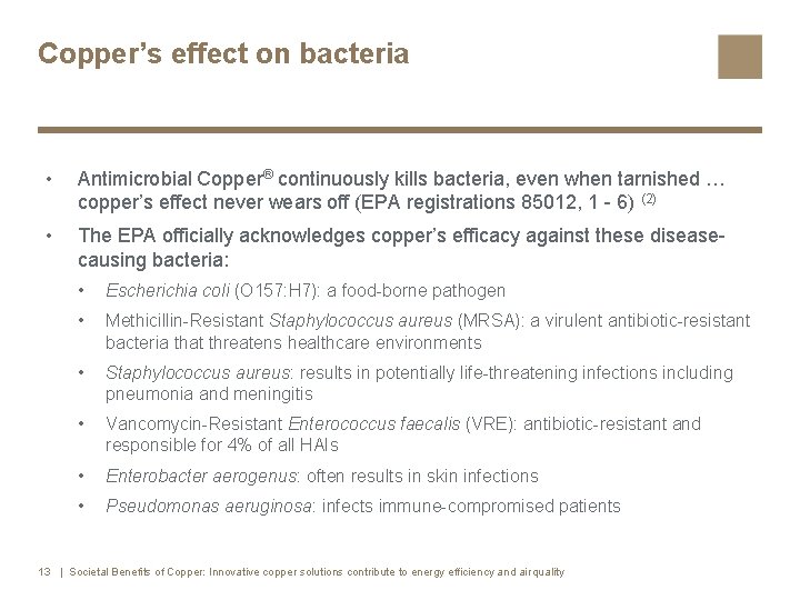 Copper’s effect on bacteria • Antimicrobial Copper® continuously kills bacteria, even when tarnished …