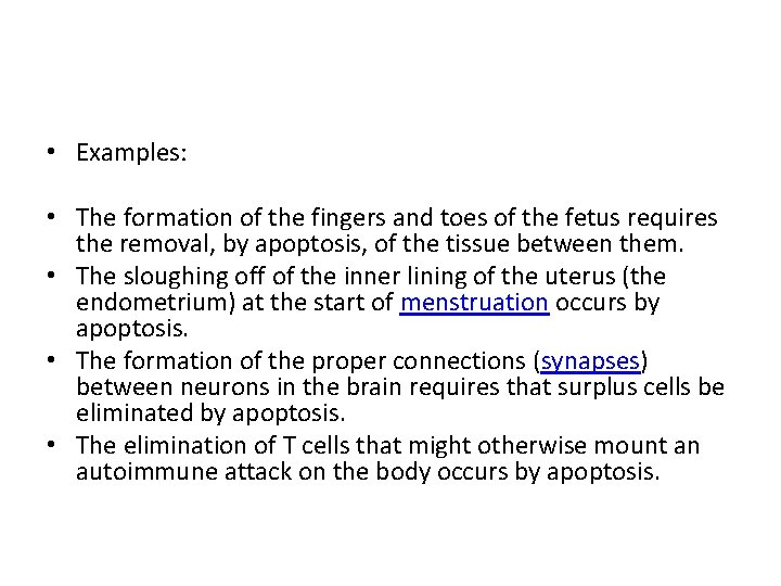  • Examples: • The formation of the fingers and toes of the fetus