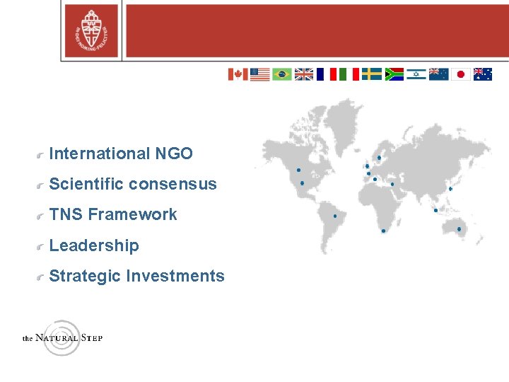 International NGO Scientific consensus TNS Framework Leadership Strategic Investments 