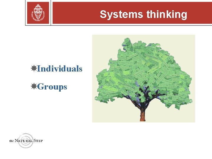 Systems thinking Individuals Groups Copyright © 2004 The Natural Step Systems thinking Individuals Groups Copyright © 2004 The Natural Step