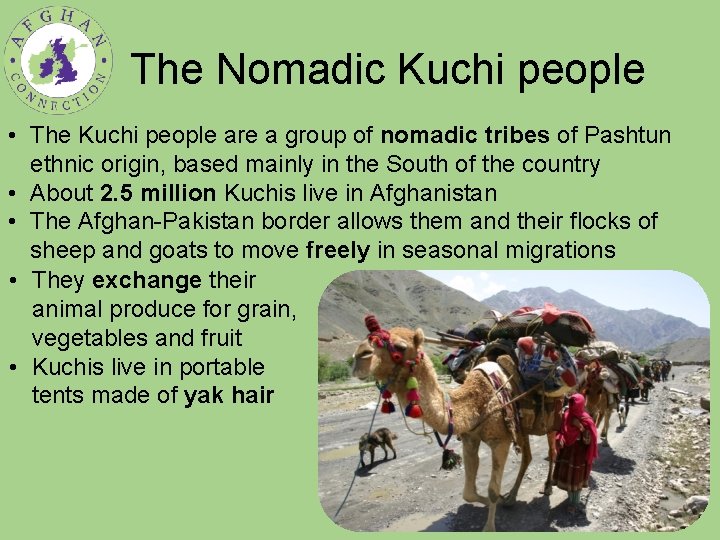 The Nomadic Kuchi people • The Kuchi people are a group of nomadic tribes