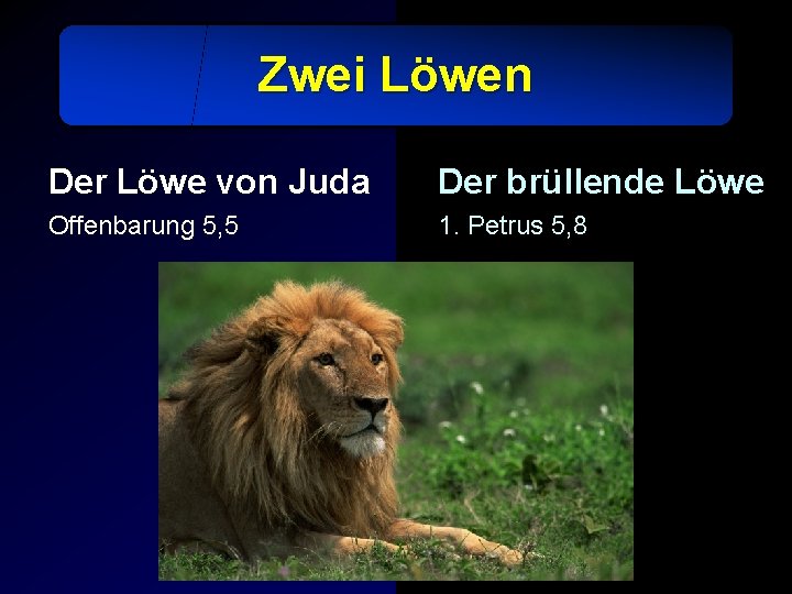 Zwei Löwen Der Löwe von Juda Der brüllende Löwe Offenbarung 5, 5 1. Petrus