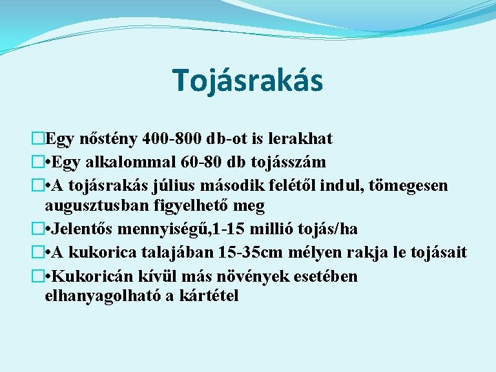 Tojásrakás �Egy nőstény 400 -800 db-ot is lerakhat � • Egy alkalommal 60 -80