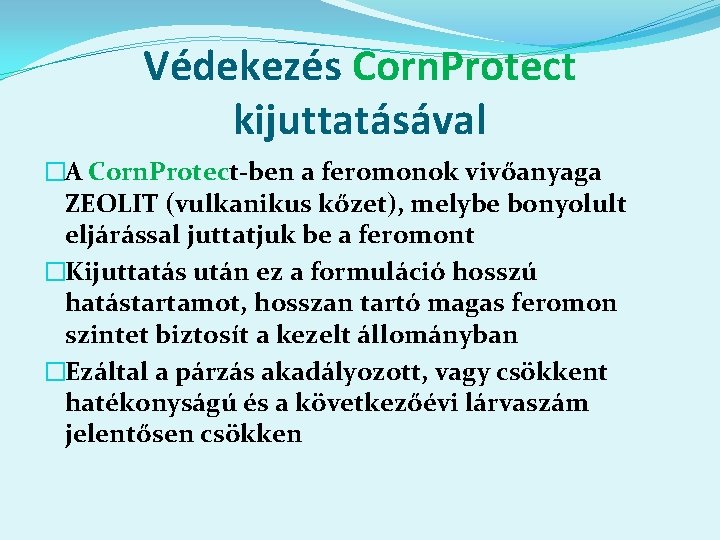Védekezés Corn. Protect kijuttatásával �A Corn. Protect-ben a feromonok vivőanyaga ZEOLIT (vulkanikus kőzet), melybe