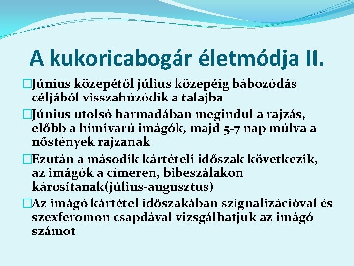 A kukoricabogár életmódja II. �Június közepétől július közepéig bábozódás céljából visszahúzódik a talajba �Június