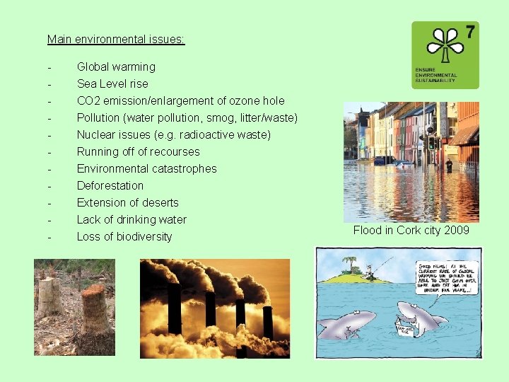 Main environmental issues: - Global warming - Sea Level rise - CO 2 emission/enlargement