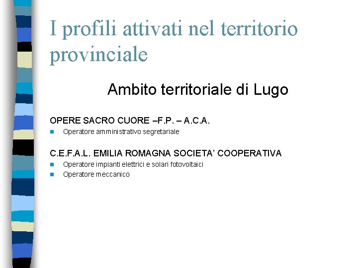 I profili attivati nel territorio provinciale Ambito territoriale di Lugo OPERE SACRO CUORE –F.