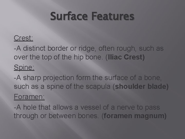 Surface Features Crest: -A distinct border or ridge, often rough, such as over the