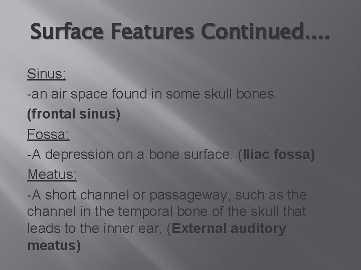Surface Features Continued. . Sinus: -an air space found in some skull bones. (frontal