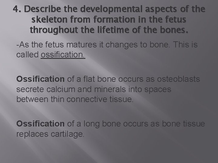 4. Describe the developmental aspects of the skeleton from formation in the fetus throughout