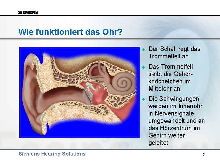 Wie funktioniert das Ohr? Siemens Hearing Solutions u Der Schall regt das Trommelfell an