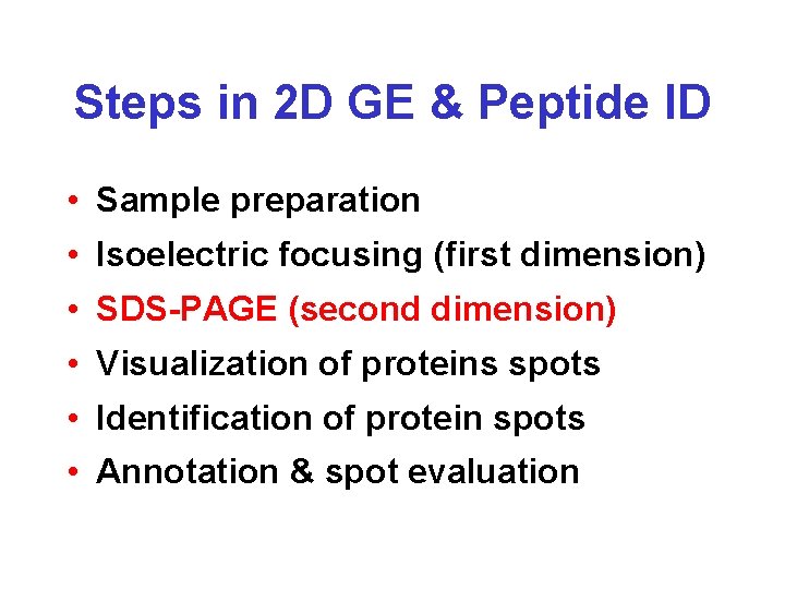Steps in 2 D GE & Peptide ID • Sample preparation • Isoelectric focusing