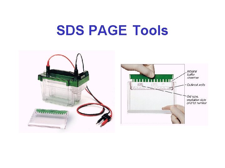 SDS PAGE Tools 