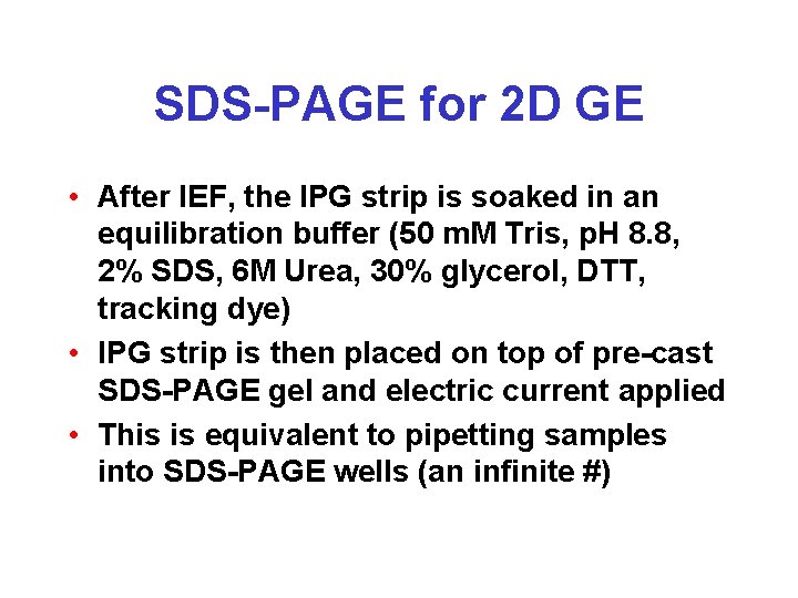 SDS-PAGE for 2 D GE • After IEF, the IPG strip is soaked in