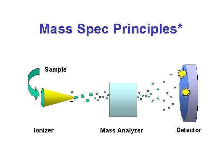 Mass Spec Principles* Sample + _ Ionizer Mass Analyzer Detector 