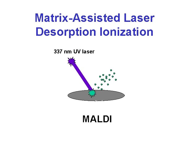 Matrix-Assisted Laser Desorption Ionization 337 nm UV laser cyano-hydroxy cinnamic acid MALDI 