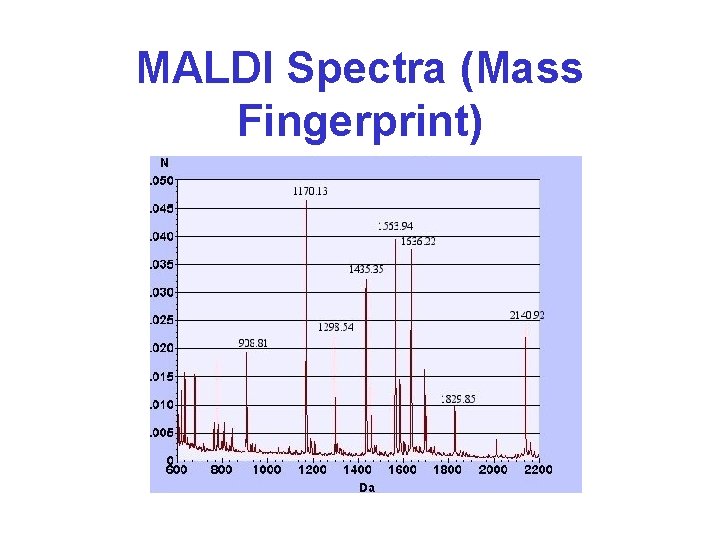 MALDI Spectra (Mass Fingerprint) Tumor 