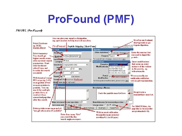 Pro. Found (PMF) 