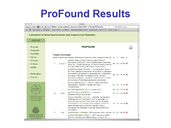 Pro. Found Results 