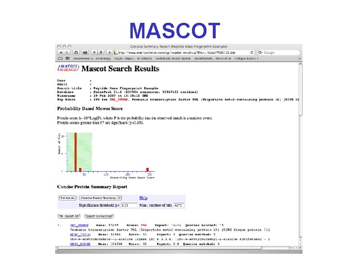 MASCOT 