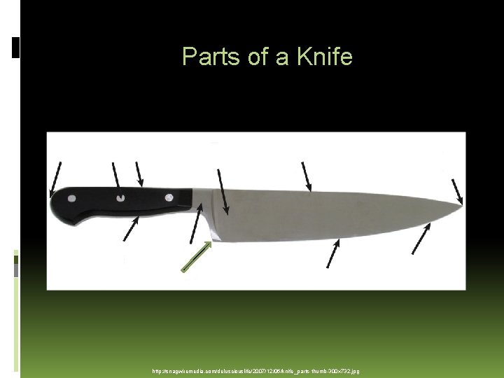 Parts of a Knife http: //snagwiremedia. com/delusciouslife/2007/12/06/knife_parts-thumb-300 x 732. jpg 