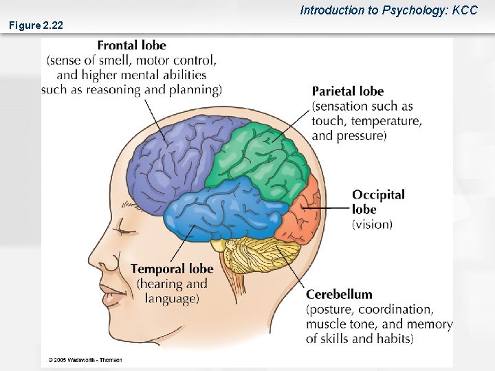 Introduction to Psychology: KCC Figure 2. 22 