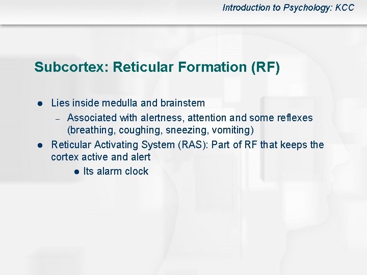 Introduction to Psychology: KCC Subcortex: Reticular Formation (RF) l l Lies inside medulla and