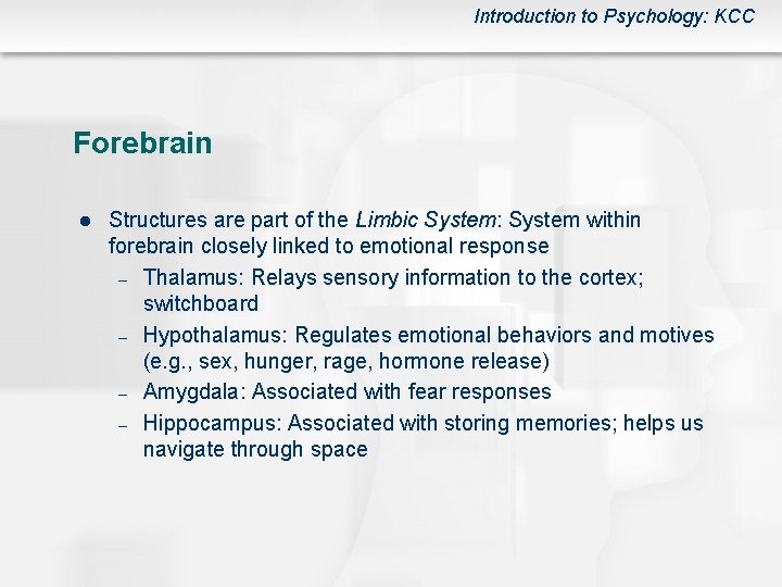 Introduction to Psychology: KCC Forebrain l Structures are part of the Limbic System: System